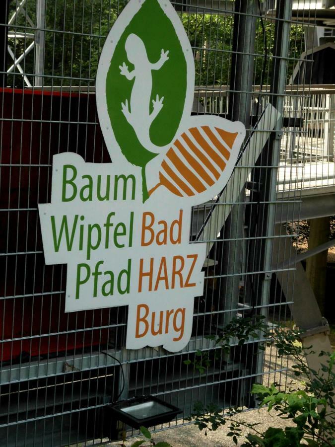 Waldoase I Inkl Sauna-Und Schwimmbadnutzung Bad Harzburg Εξωτερικό φωτογραφία